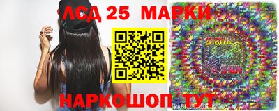 СК Краснодар