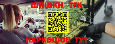 СК Краснодар