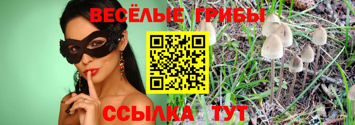 Электросталь  Псилоцибиновые грибы мухоморы  Вход с VPN 
